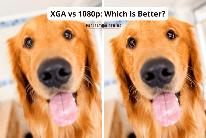 XGA vs 1080p