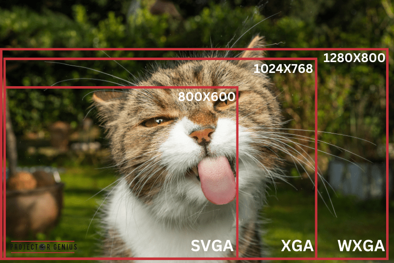 WXGA vs XGA vs SVGA