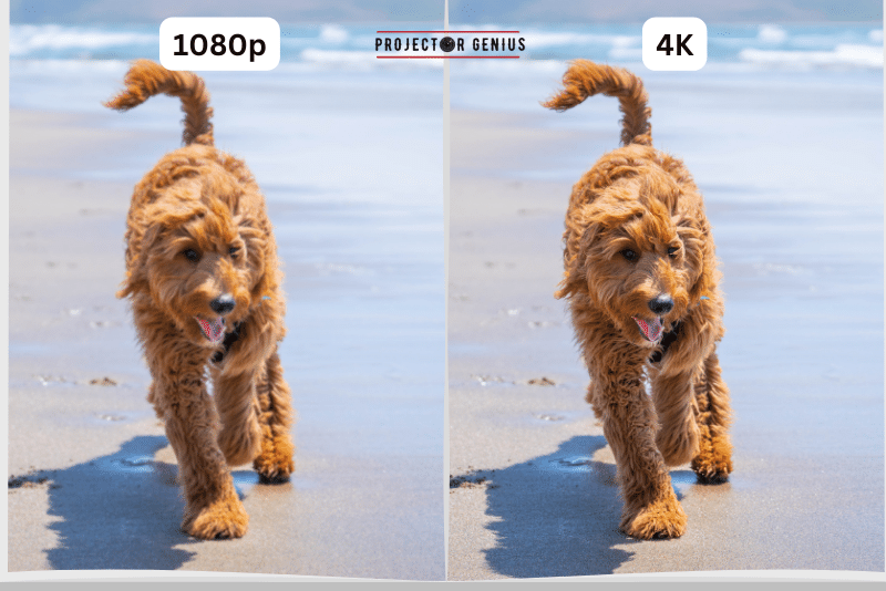 Image Quality 1080p vs 4K