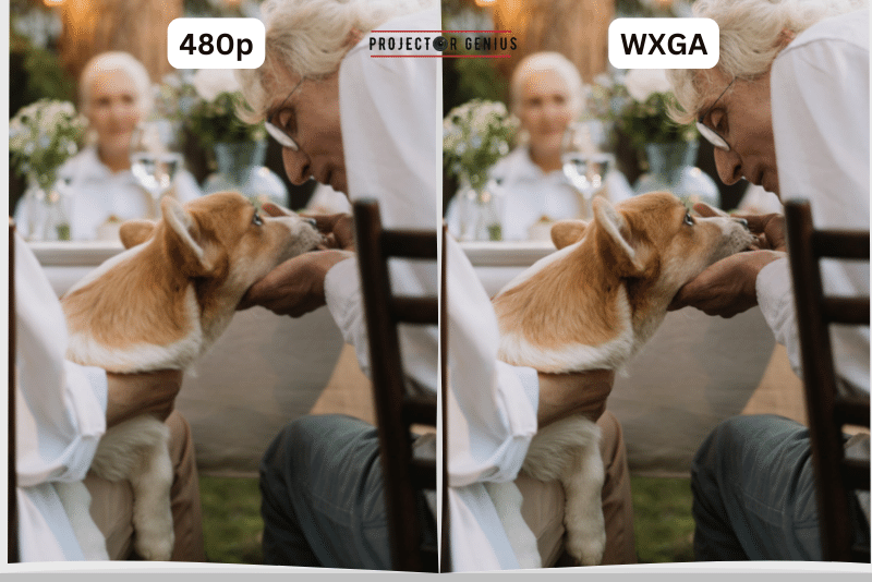 480p vs WXGA Which Is Better