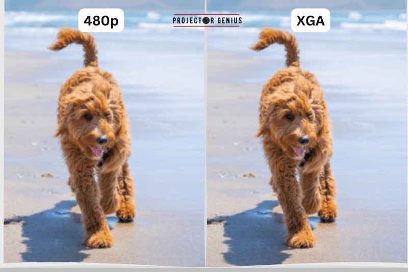 Image Quality 480p vs XGA