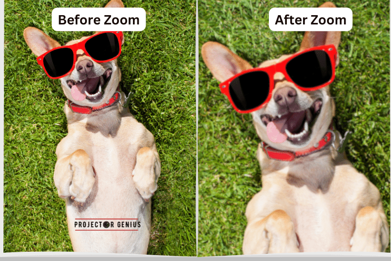 Before Zoom & After Zoom