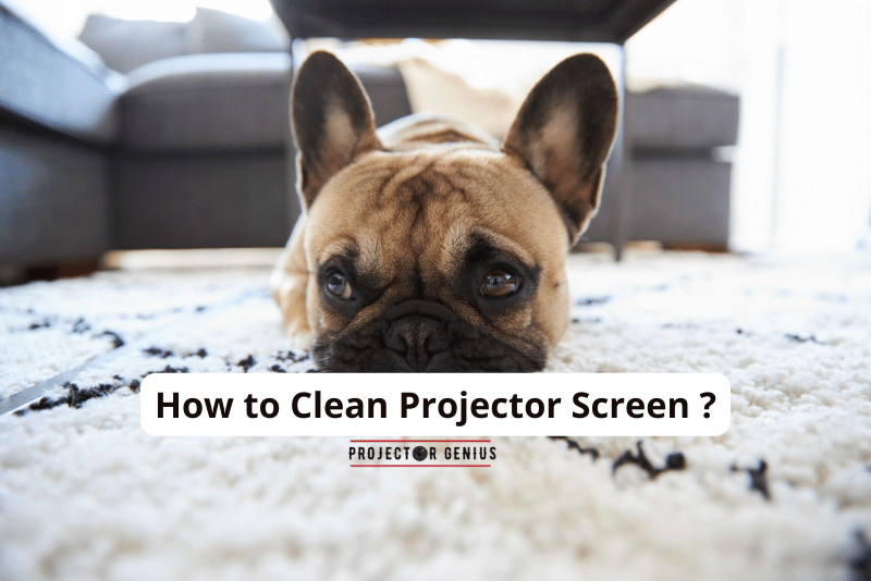 How to Clean Projector Screen