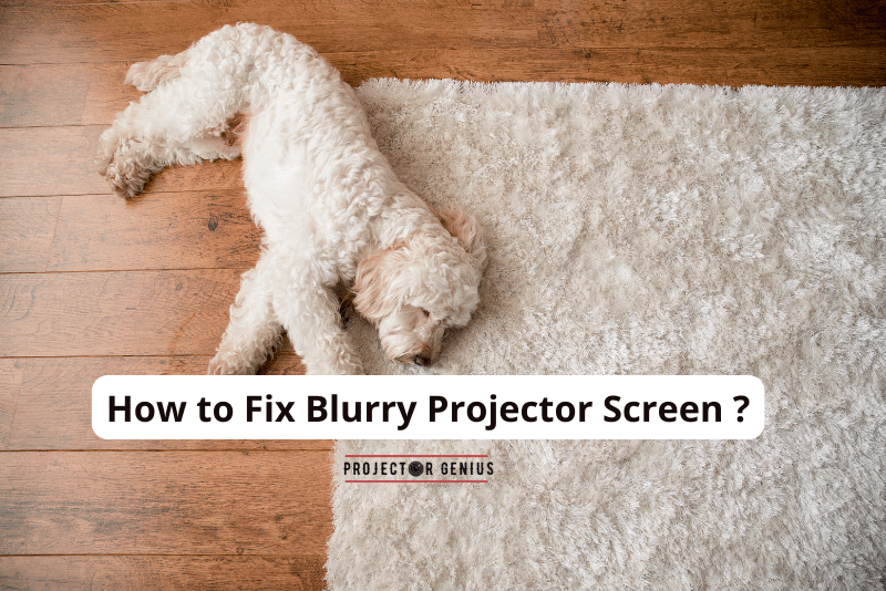 How to Fix Blurry Projector Screen
