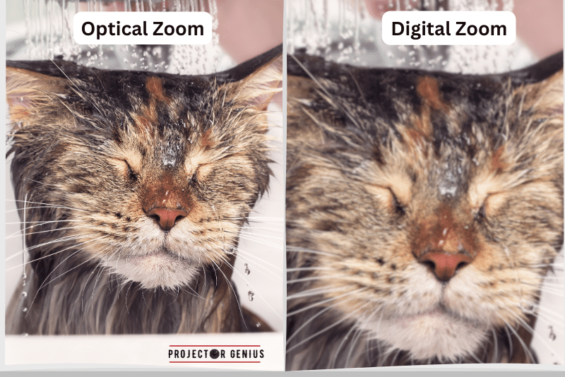 Optical Zoom vs Digital Zoom