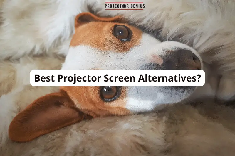 Best Projector Screen Alternatives