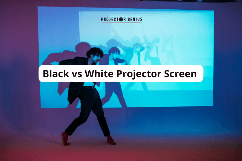 Black vs White Projector Screen [2023 Detailed Comparison]